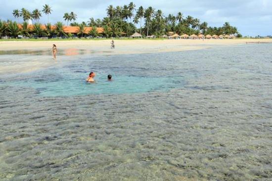 Casa Em Serrambi Com Piscina E Terraco Amplo Villa Porto de Galinhas Luaran gambar